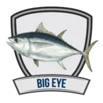 Fishing for Bigeye Tuna
