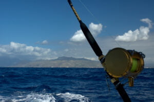 Deep-sea fishing trips take place several miles off the coast of Honolulu, Hawaii. For a similar photo capturing the rising dawn sun.