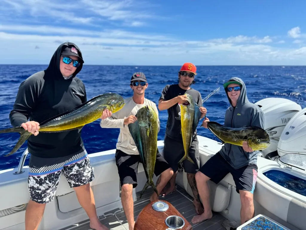 Deep Sea Fishing Mahi Mahi